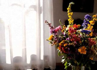 Salata de morcovi – vedeta TikTok-ului Salata de morcovi